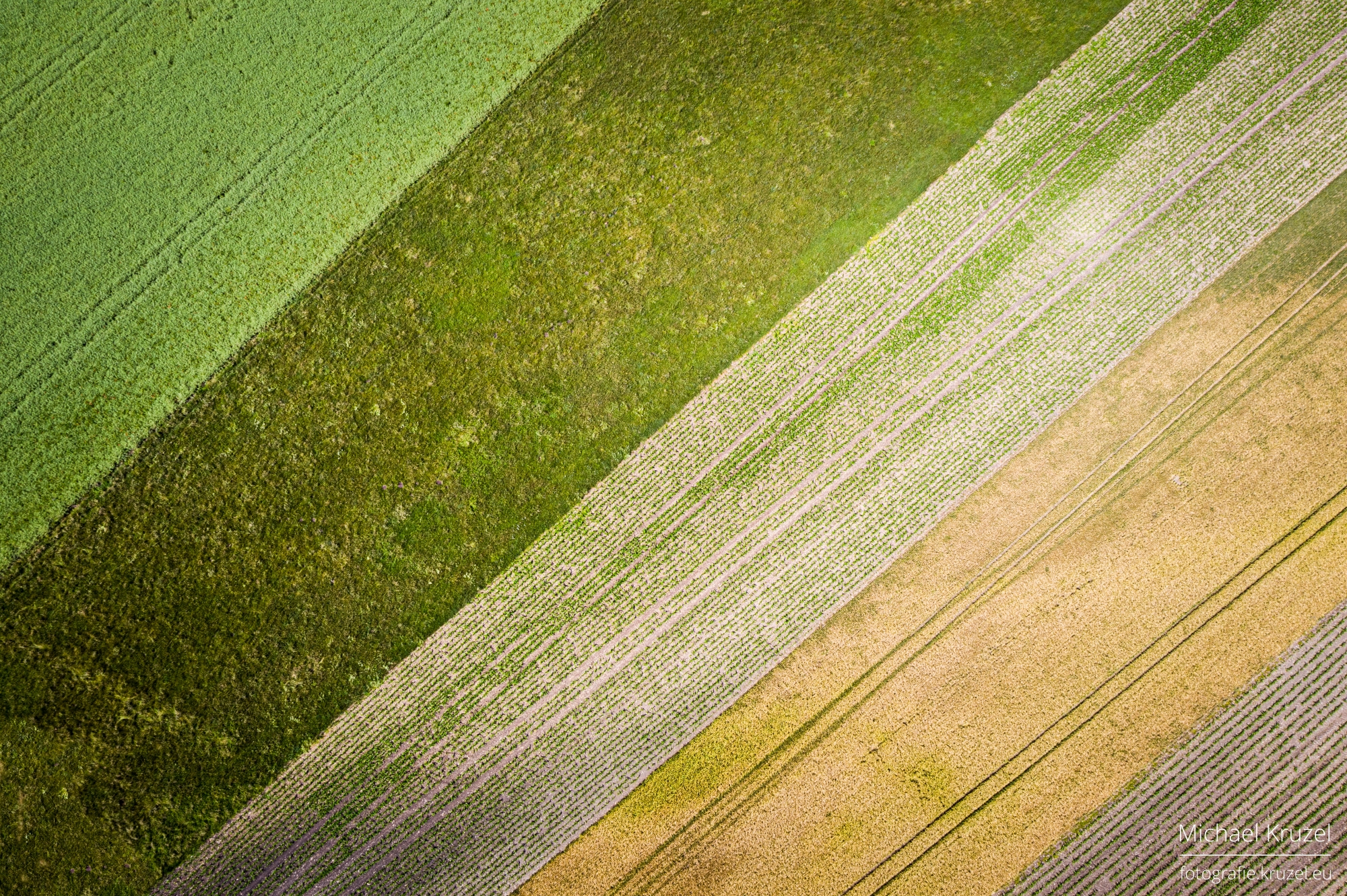  Fields