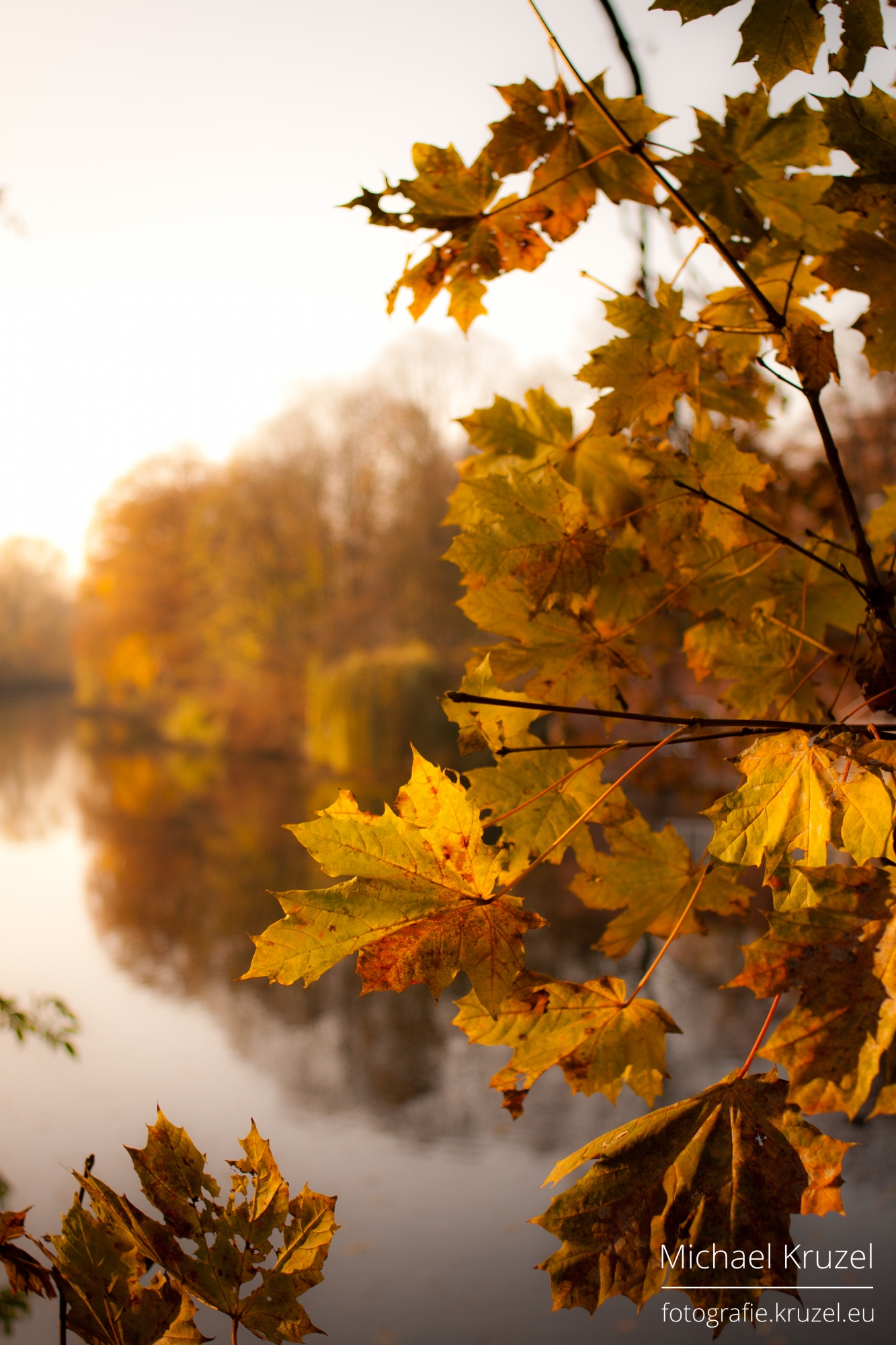  Autumn Leaves