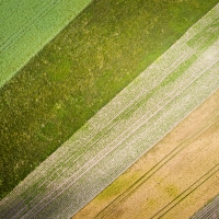  Fields