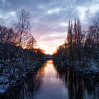  Winter