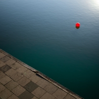  Swim