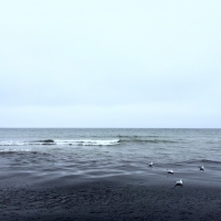  Sea