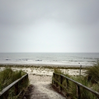  Sea