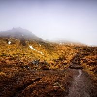  Foggy