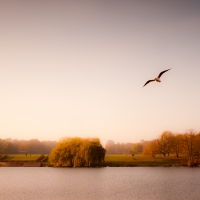  Autumn