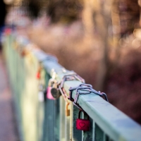  Love, oh Love